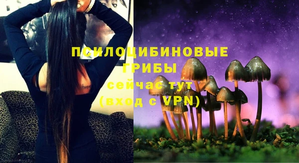 меф Арсеньев
